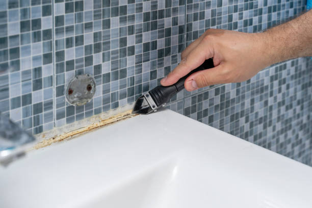 Best Insurance-Related Mold Remediation in Hamilton City, CA